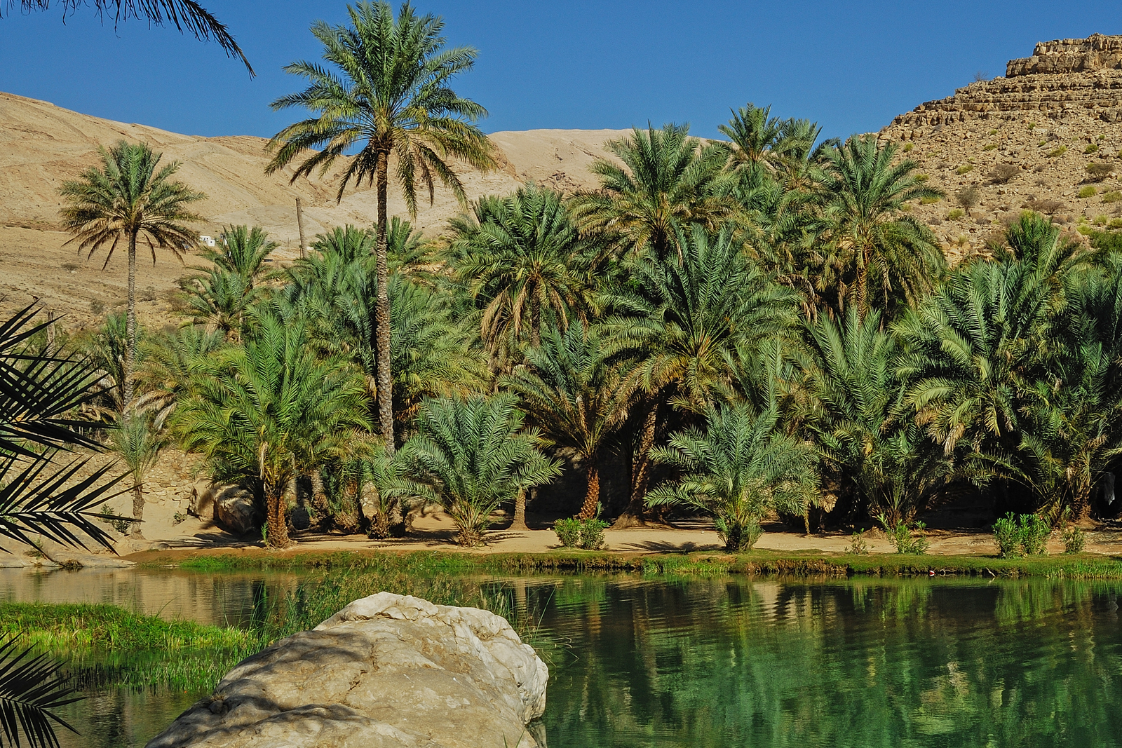 Wadi Oman